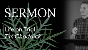 Sermon - Tim Chaddick