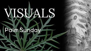 Visual - Palm Sunday